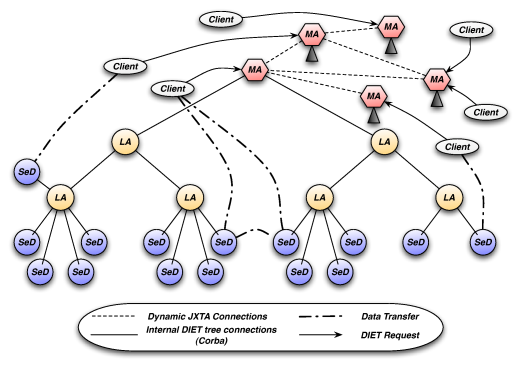 Diet hierarchical organization.