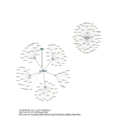 Automated Network topology from API